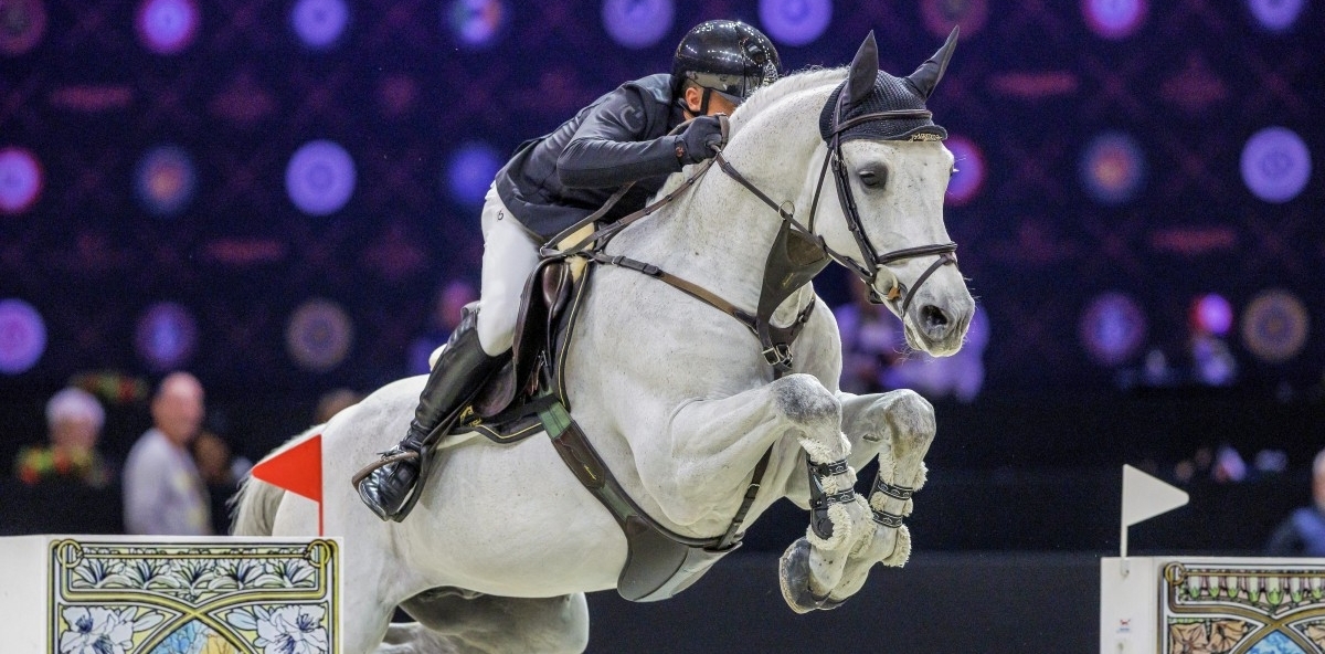 
	            VANGOG DU MAS GARNIER
	            