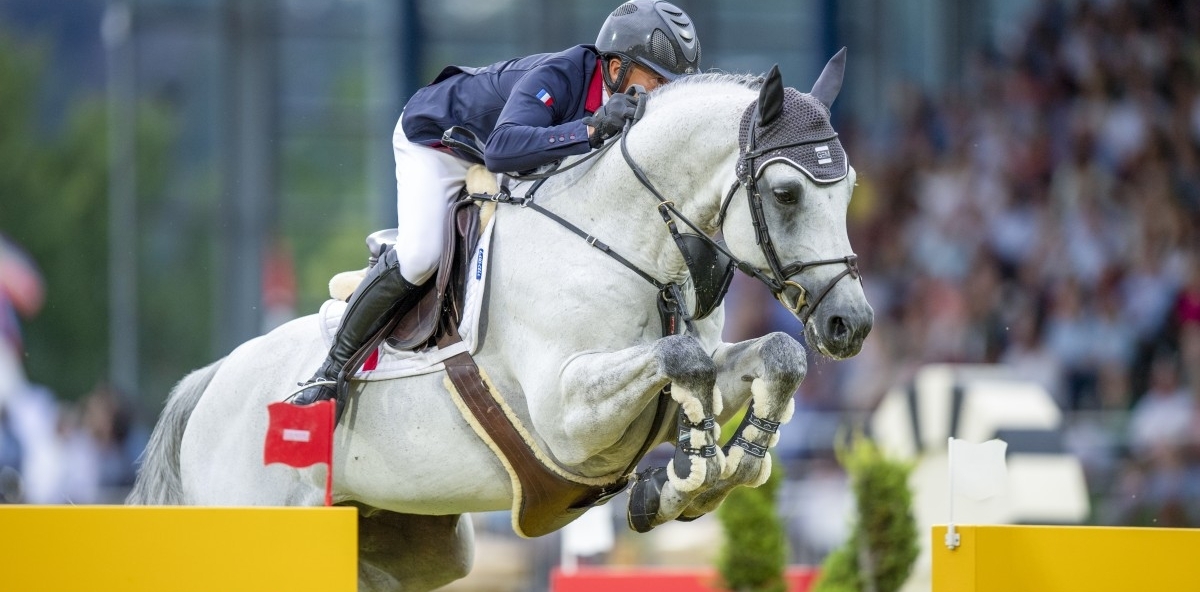 
	            VANGOG DU MAS GARNIER
	            