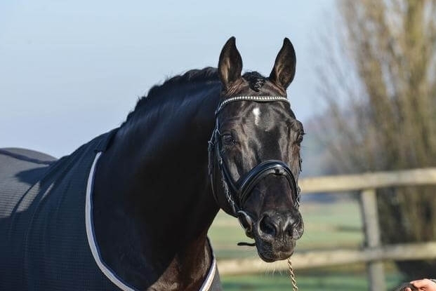 NOUVEAUTE RECRUTEMENT 2023