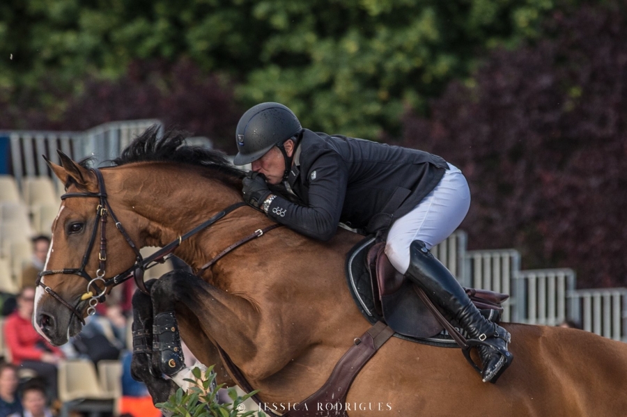 Recrutement d'étalons 2021